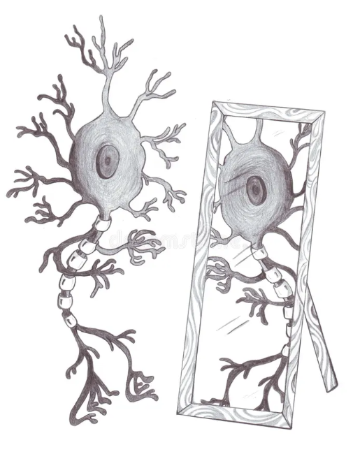 A Mirror in Your Mind